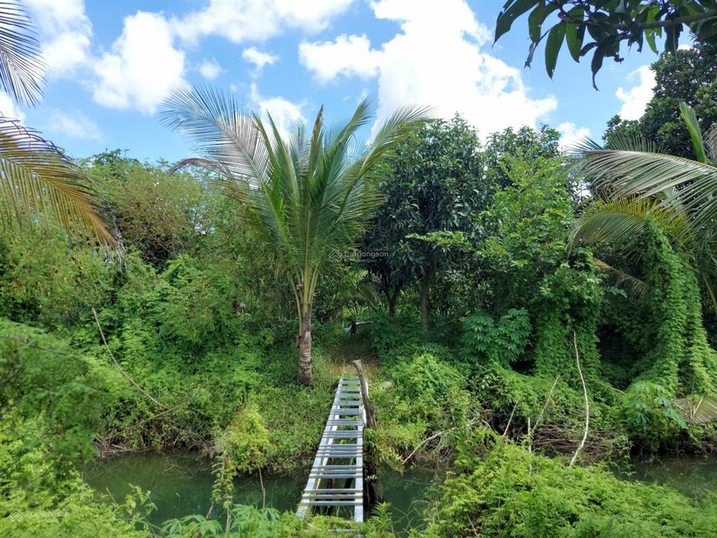 Bán đất  đã đầu tư vườn sinh thái 1,5 ha (15.000m2) đường đt 839 đức huệ, long an