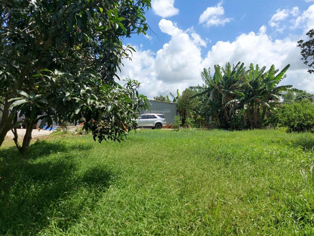Bán đất  đã đầu tư vườn sinh thái 1,5 ha (15.000m2) đường đt 839 đức huệ, long an