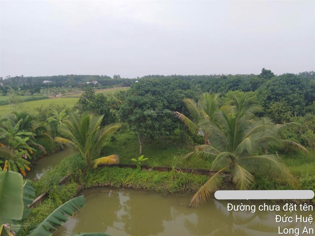 Bán đất  đã đầu tư vườn sinh thái 1,5 ha (15.000m2) đường đt 839 đức huệ, long an