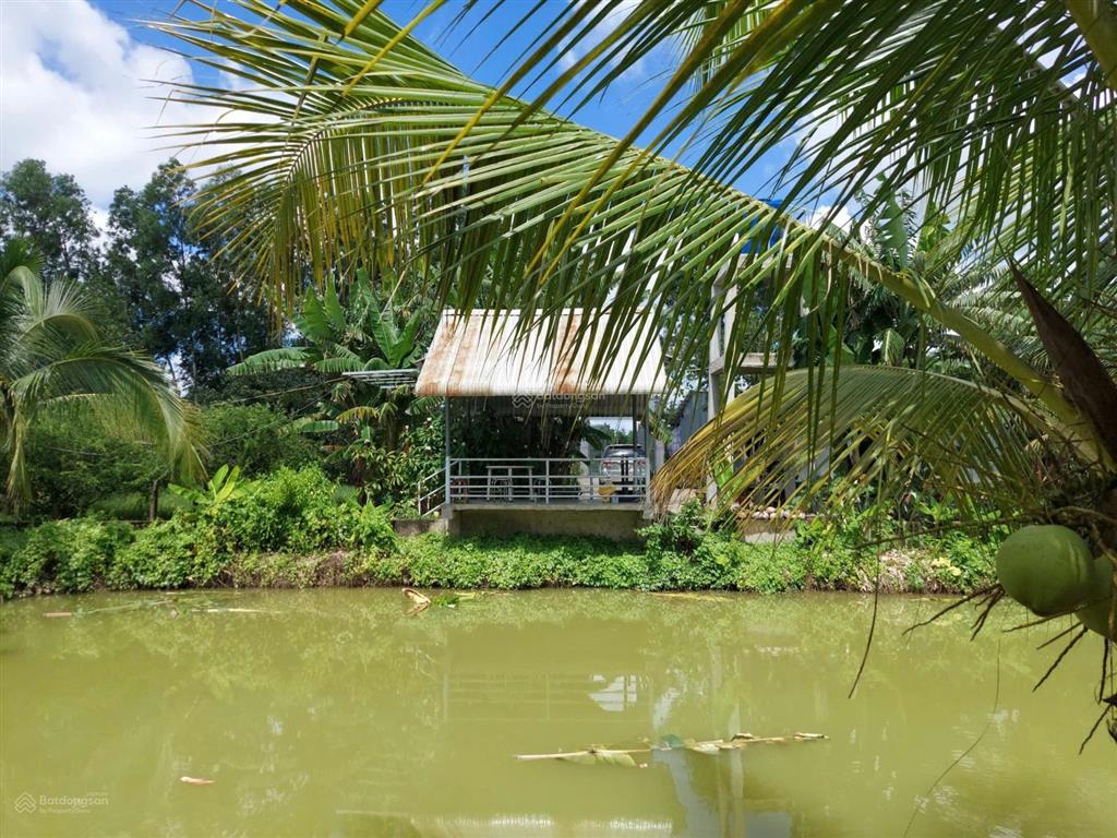 Bán đất  đã đầu tư vườn sinh thái 1,5 ha (15.000m2) đường đt 839 đức huệ, long an