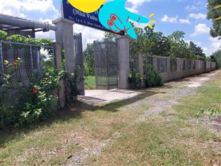 Bán đất  đã đầu tư vườn sinh thái 1,5 ha (15.000m2) đường đt 839 đức huệ, long an