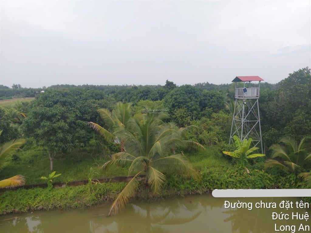 Bán đất  đã đầu tư vườn sinh thái 1,5 ha (15.000m2) đường đt 839 đức huệ, long an