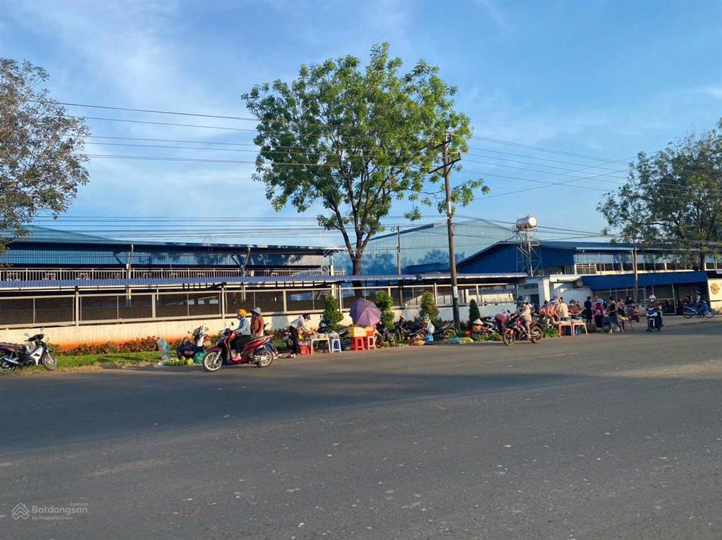 Kẹt tiền kd tôi cần bán gấp 2290m2 đất shr, mt ngay kcn, nhà máy đang hđ nhộn nhịp. giá 250tr