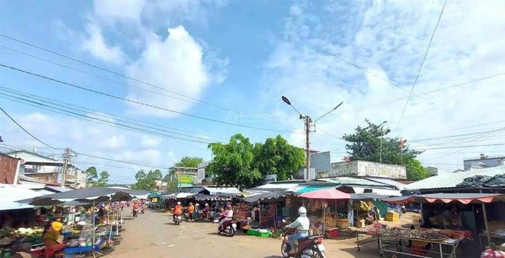 Kẹt tiền kd tôi cần bán gấp 2290m2 đất shr, mt ngay kcn, nhà máy đang hđ nhộn nhịp. giá 250tr