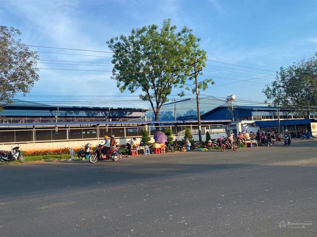Bán gấp 1029m2 đất mt đường thông kcn đang hđ sát chợ, thông ql13 tiện xây trọ. giá 490tr