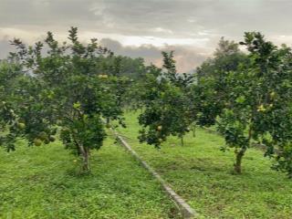 Bán đất trung tâm xã bảo hiệu yên thủy hòa bình giá 290 triệu/lô sổ đỏ riêng