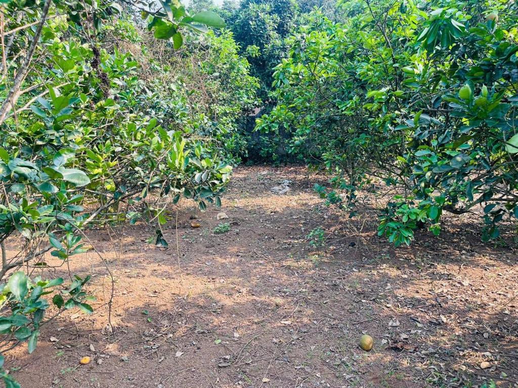 Siêu phẩm 2.987m2 có 2.000m2 thổ cư, sẵn vườn bưởi, mặt tiền 40m tại yên thủy
