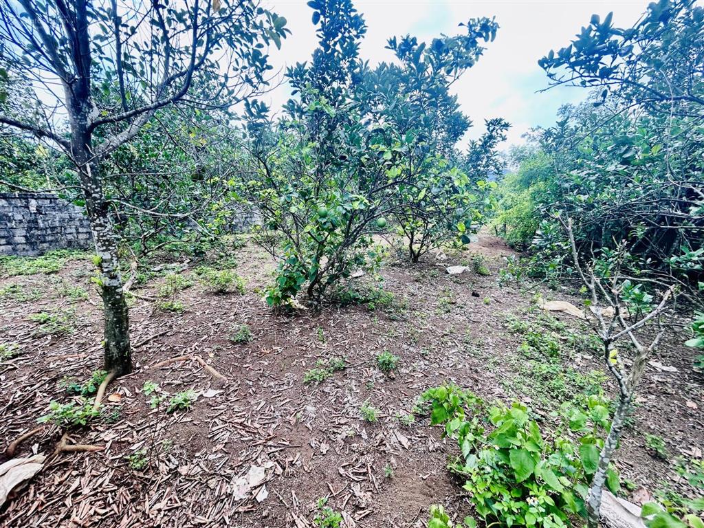 Siêu phẩm 2.987m2 có 2.000m2 thổ cư, sẵn vườn bưởi, mặt tiền 40m tại yên thủy