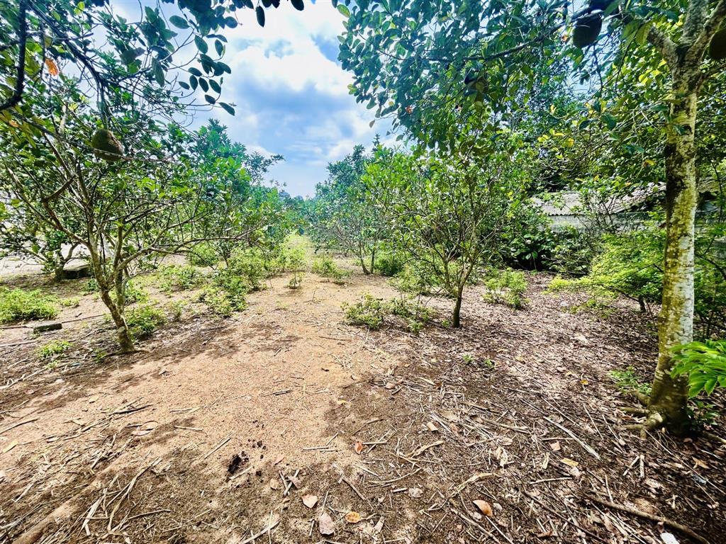 Siêu phẩm 2.987m2 có 2.000m2 thổ cư, sẵn vườn bưởi, mặt tiền 40m tại yên thủy