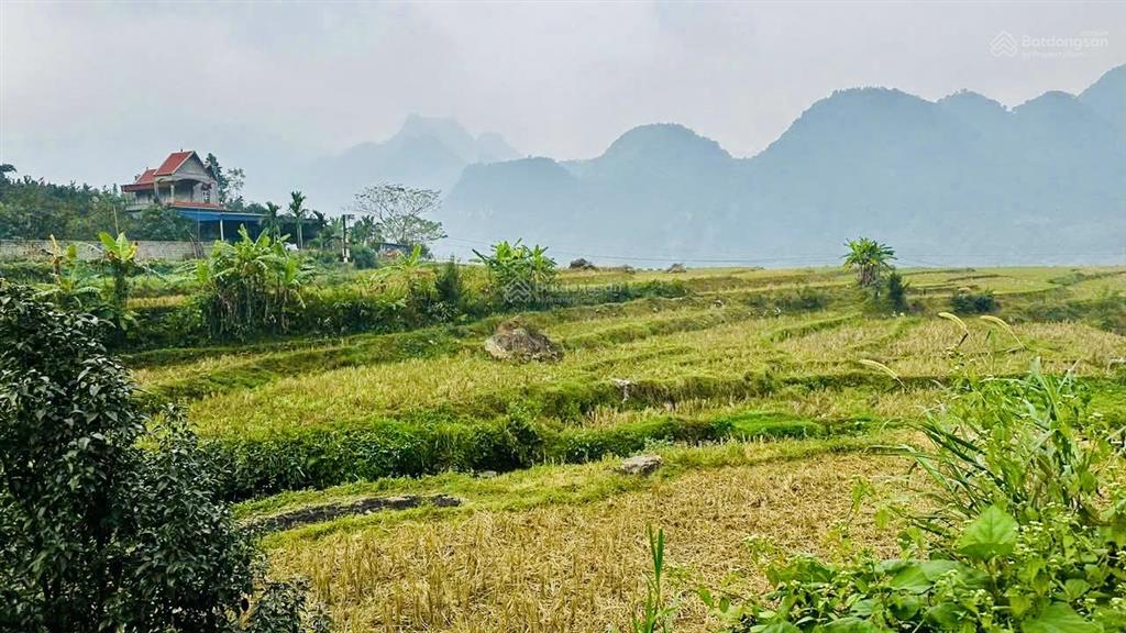 Siêu phẩm 917.7m2 full thổ cư tại kim bôi tựa sơn hướng đồng, sẵn nhà ở ngay