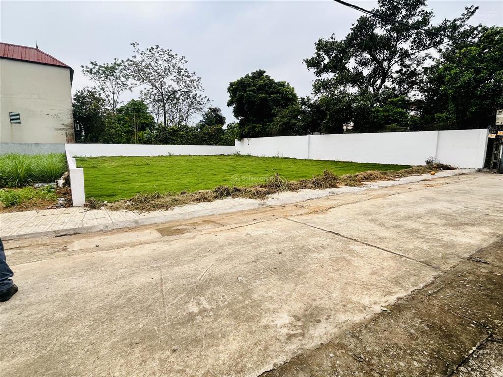 Bán đất đông yên quốc oai 110m2 full thổ cư mt 5m gần đhqg hòa lạc 2,3 tỷ