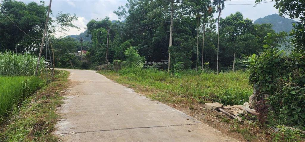 Lô góc 1824m2 1.000m2 đất ở mặt tiền 35m thống nhất, lạc lương, yên thủy, hòa bình