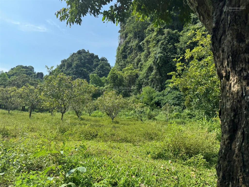 Lô góc 1824m2 1.000m2 đất ở mặt tiền 35m thống nhất, lạc lương, yên thủy, hòa bình