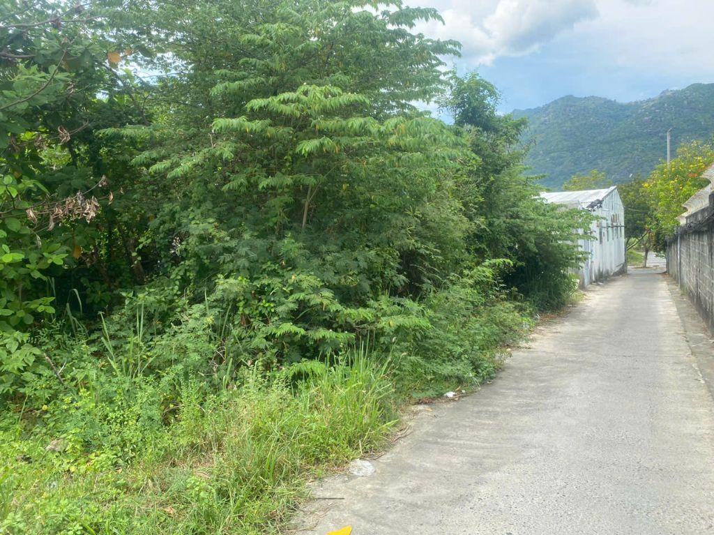 Bán nhanh lô đất ngang 5m Full thổ cách hẻm Thái Khang chỉ 50M Giá Chỉ  2 tỷ 100