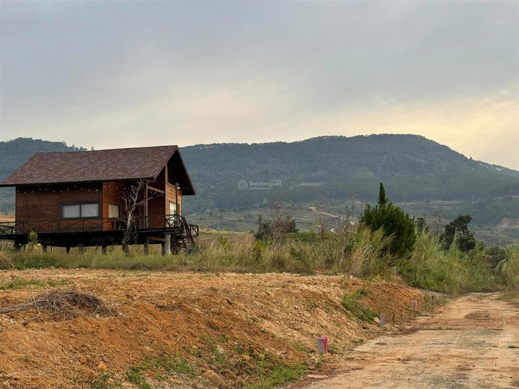 Đất đông thanh cách đà lạt 16km  5x25  gần full thổ cư  sổ sẵn  đường bê tông
