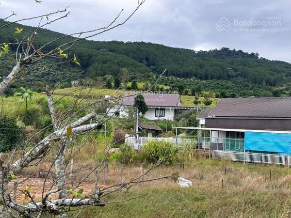 Đất đông thanh cách đà lạt 16km  5x25  gần full thổ cư  sổ sẵn  đường bê tông