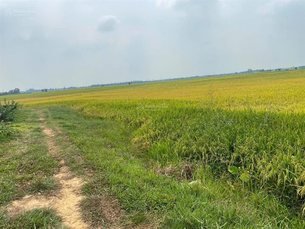Cần tiền mở rộng quy mô kinh doanh, ra đi mảnh đất tâm huyết ông bà. đất full thổ cư vuông cức