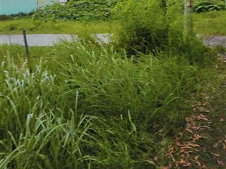 Hàng ngộp. 90mv đường oto ngay trạm y tế xã phước lâm, giá 390 triệu còn tl.