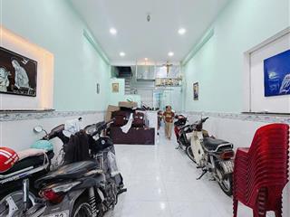 Gà đẻ trứng vàng sinh lời hàng tháng