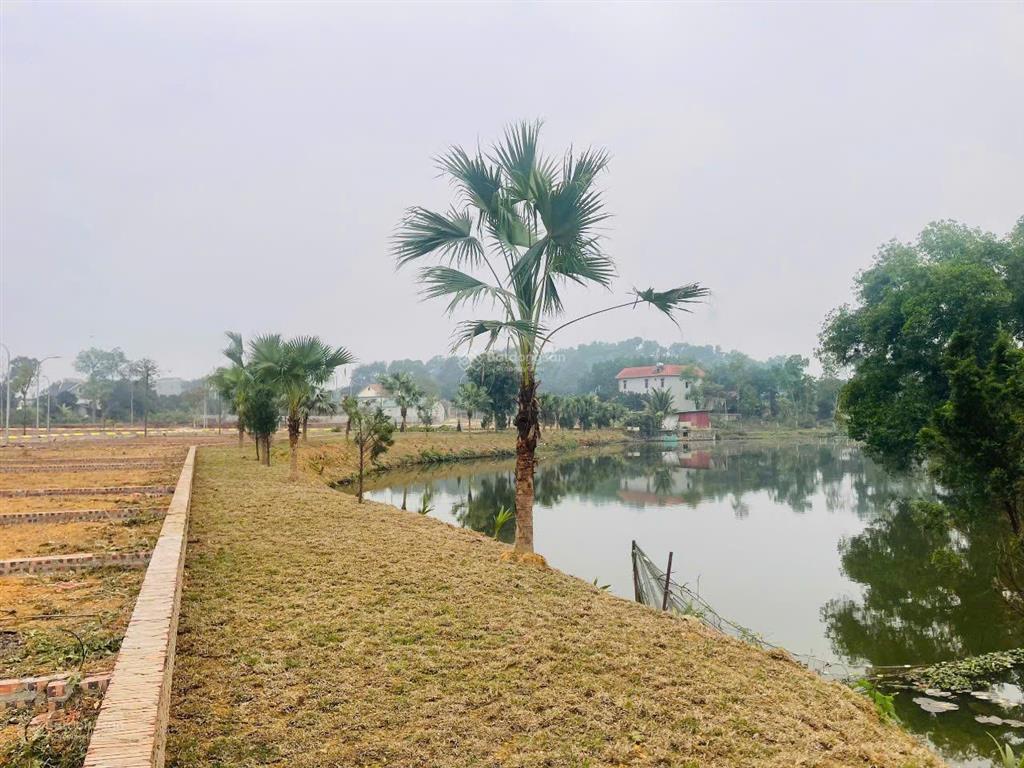 Chính chủ bán đất mặt hồ đồng mô, sơn tây sổ đỏ sẵn, cơ hội sở hữu tài sản giá trị