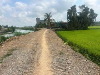 Đất nền full thổ cư 7200m2 tại xã tuyên thạnh, thị xã kiến tường, long an, giá ưu đãi 5 triệu / m2