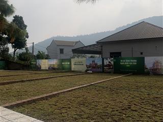 Chính chủ cần bán gấp lô đất tại phú cát mới  hoà lạc 100m2 full thổ cư giá chỉ hơn 2,5 tỷ