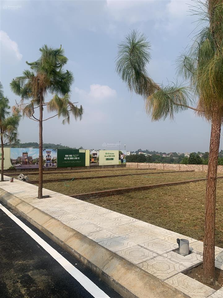 Chính chủ cần bán gấp lô đất tại phú cát mới  hoà lạc 100m2 full thổ cư giá chỉ hơn 2,5 tỷ