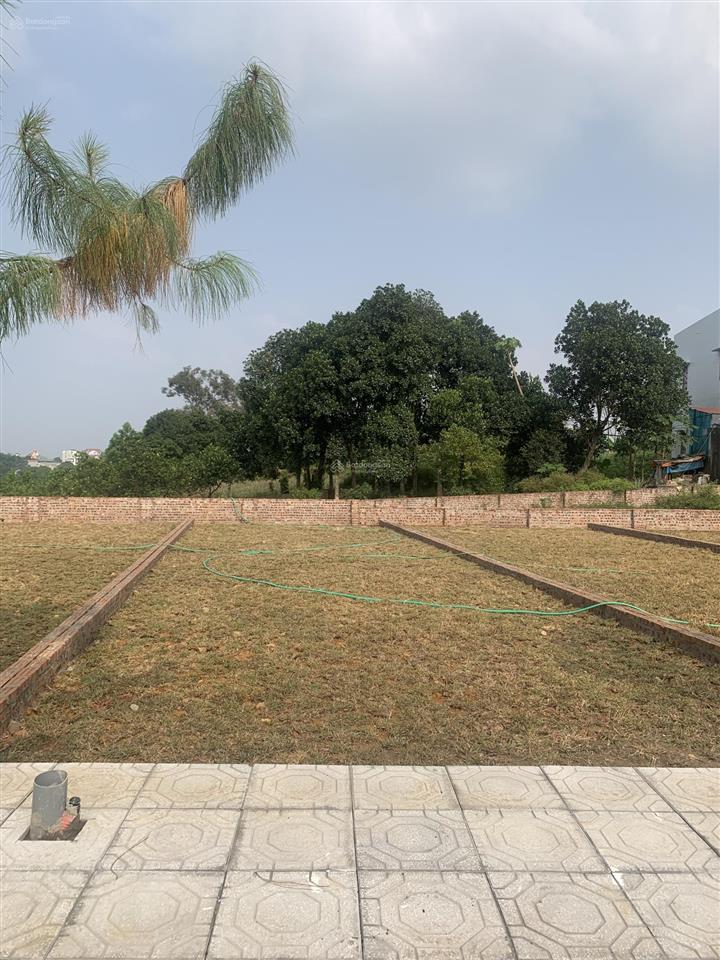 Chính chủ cần bán gấp lô đất tại phú cát mới  hoà lạc 100m2 full thổ cư giá chỉ hơn 2,5 tỷ