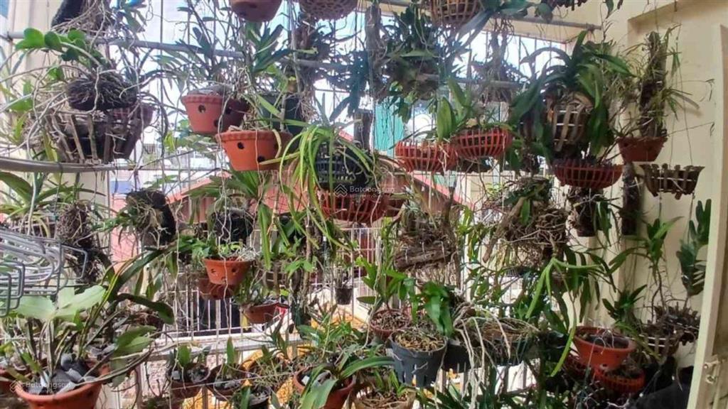 8.35 tỷ, tôi cần bán căn nhà phố đại từ 5 tầng 32m2, lô góc, mặt tiền 6m, gần chợ đại từ, dân xây.