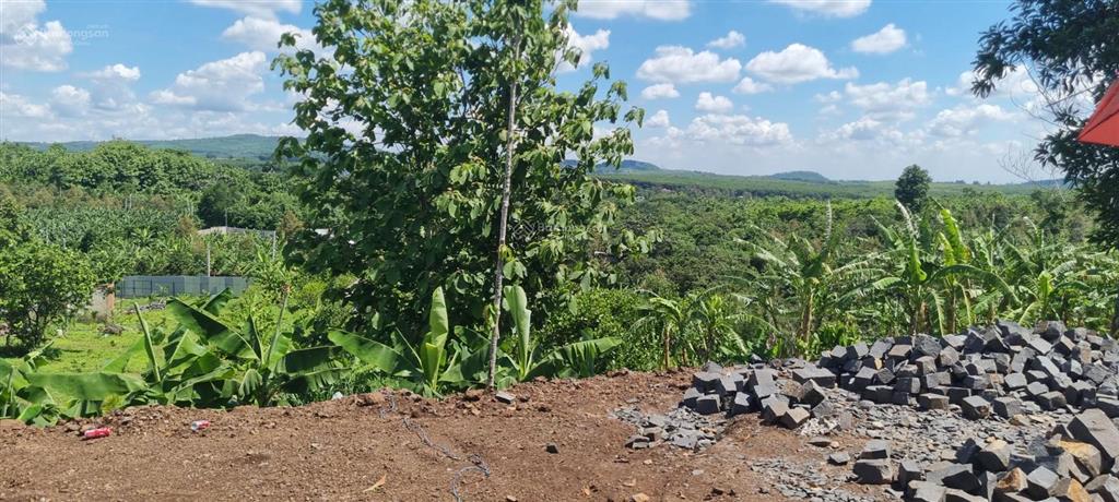 Bán đất 1350m2 tại gia kiệm, thống nhất, đồng nai