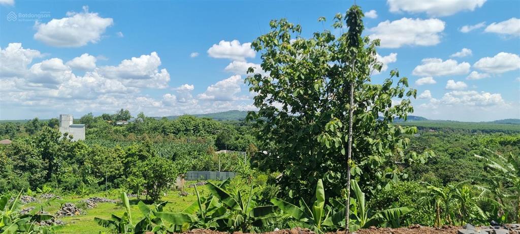 Bán đất 1350m2 tại gia kiệm, thống nhất, đồng nai