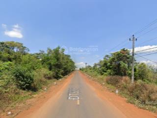Bán đất quốc lộ 14, trường xuân, dăk song, đắk nông, giá thỏa thuận, 2763m2