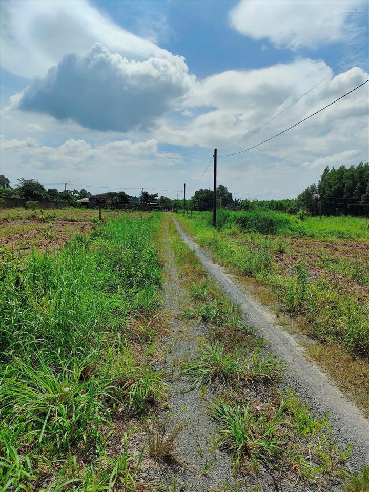 Bán đất tại phường tam phước, thành phố biên hòa, đồng nai, giá thỏa thuận, 288.8m2