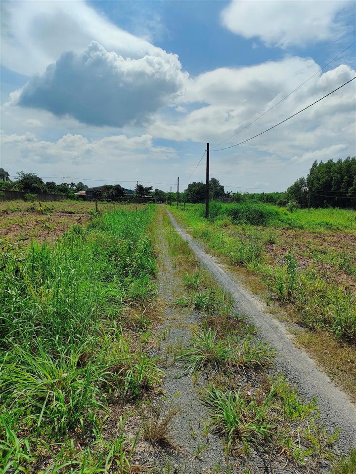 Bán đất tại phường tam phước, thành phố biên hòa, đồng nai, giá thỏa thuận, 288.8m2