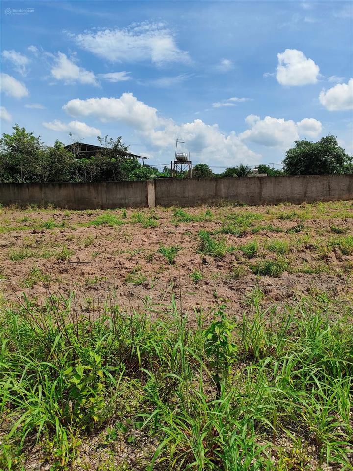 Bán đất tại phường tam phước, thành phố biên hòa, đồng nai, giá thỏa thuận, 288.8m2