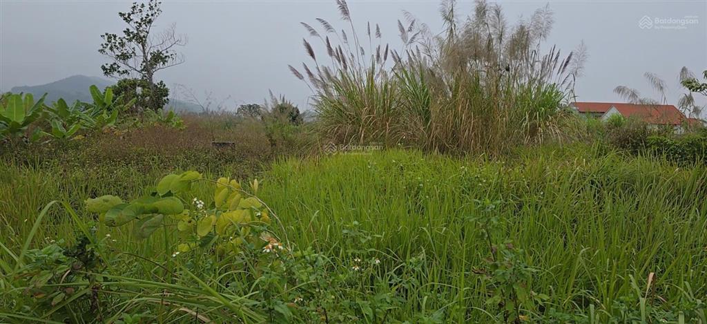 Bán đất tại cẩm hải, giá thỏa thuận, 478.4m2, mặt tiền 18.69m, ngõ 4m, pháp lý đầy đủ