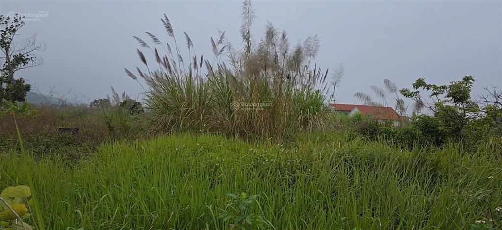 Bán đất tại cẩm hải, giá thỏa thuận, 478.4m2, mặt tiền 18.69m, ngõ 4m, pháp lý đầy đủ