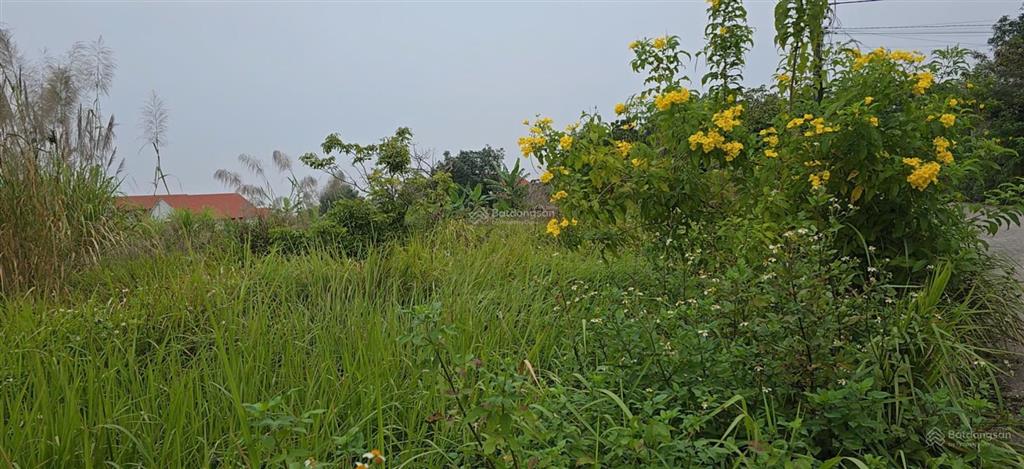 Bán đất tại cẩm hải, giá thỏa thuận, 478.4m2, mặt tiền 18.69m, ngõ 4m, pháp lý đầy đủ