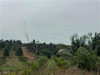 Bán đất tại xã trị an, huyện vĩnh cửu, đồng nai, giá thỏa thuận, 9076m2, view đẹp