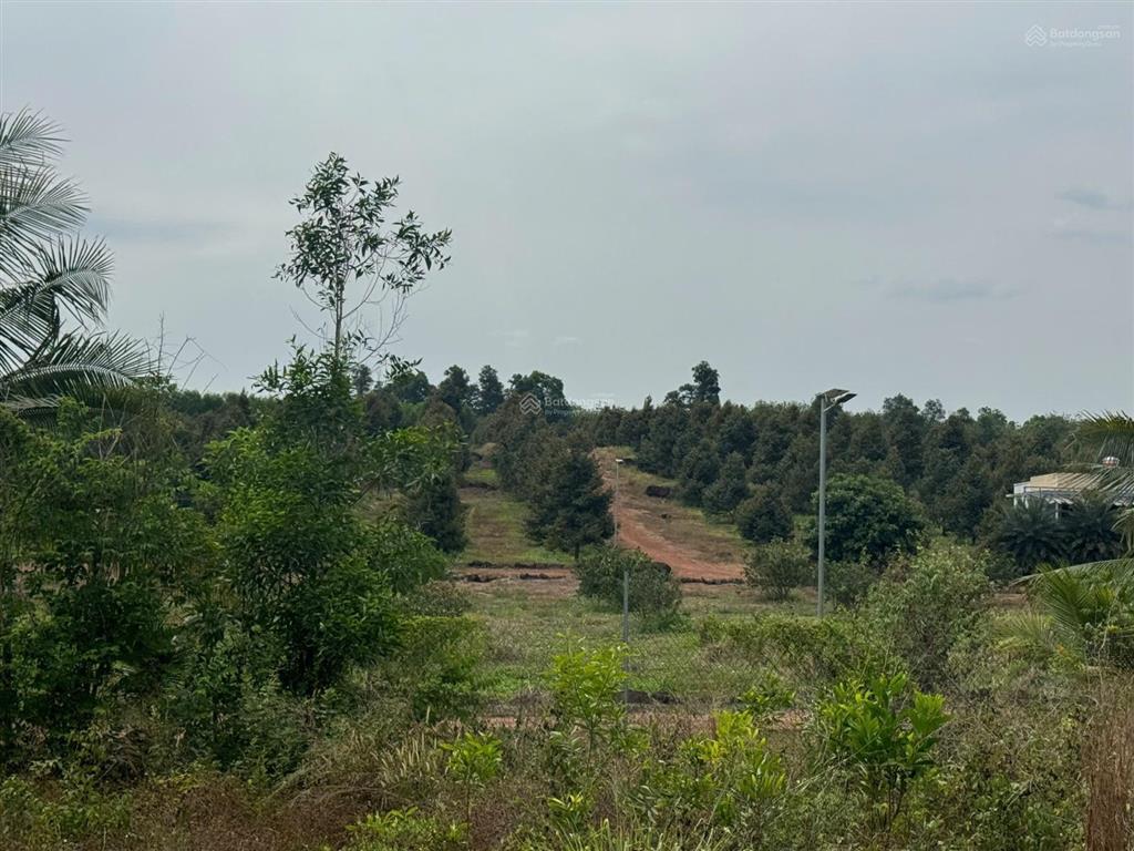 Bán đất tại xã trị an, huyện vĩnh cửu, đồng nai, giá thỏa thuận, 9076m2, view đẹp