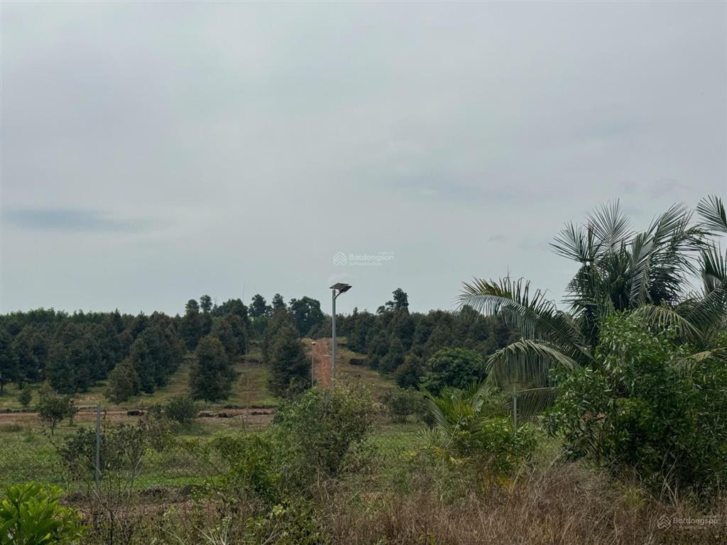 Bán đất tại xã trị an, huyện vĩnh cửu, đồng nai, giá thỏa thuận, 9076m2, view đẹp