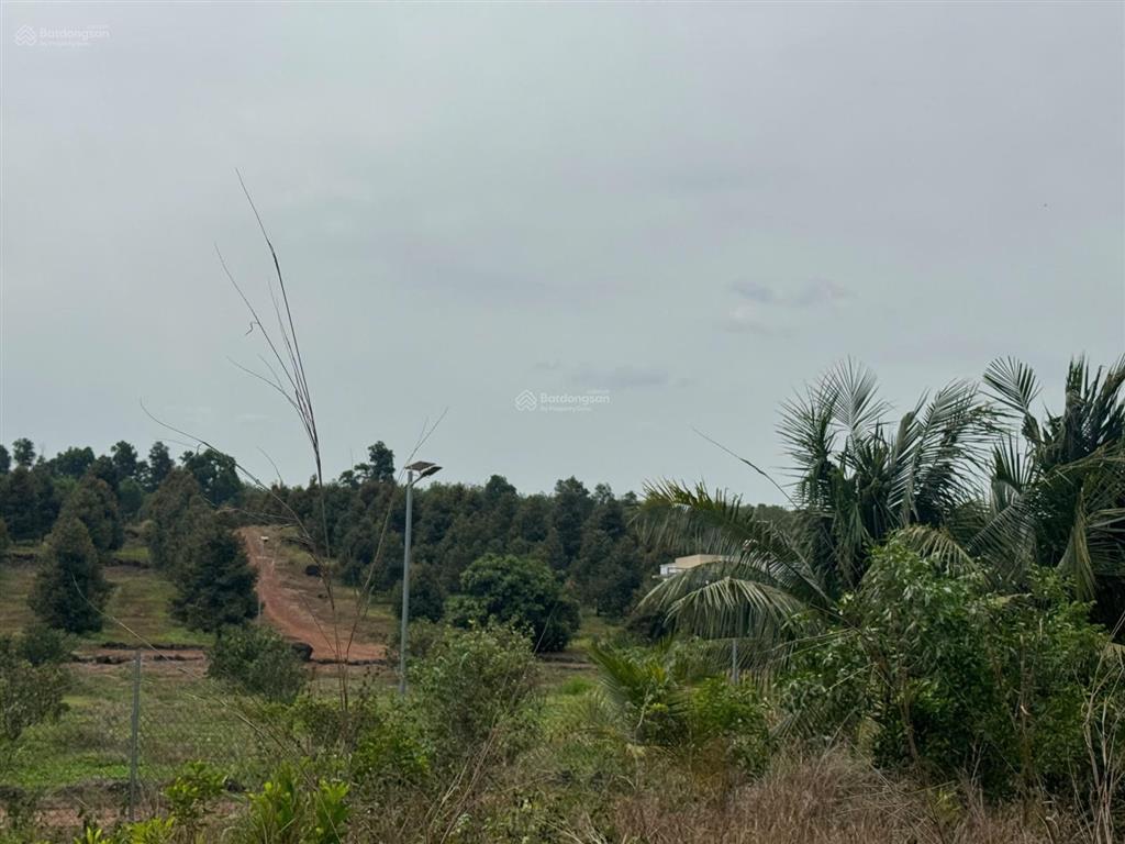 Bán đất tại xã trị an, huyện vĩnh cửu, đồng nai, giá thỏa thuận, 9076m2, view đẹp