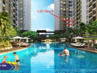 Chính chủ bán lỗ căn hộ view trực diện hồ bơi, công viên ở new galaxy dĩ an, sát làng đại học