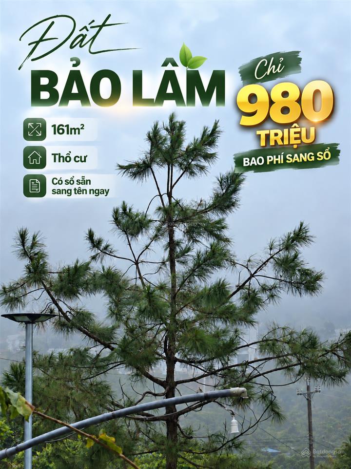 Đất sổ đỏ bảo lâm đường lớn, đón đầu cao tốc, giá 980tr thương lượng, sổ đỏ sang tên