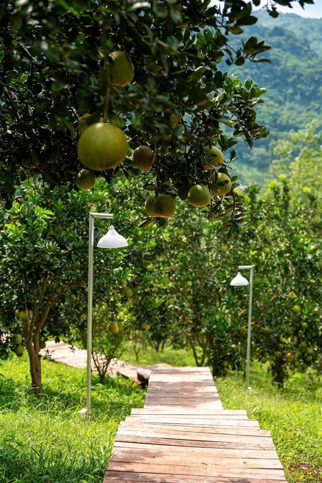 Chính chủ bán lô đất trong khu du lịch trong diện tích 9000m2, phù hợp làm nhà vườn