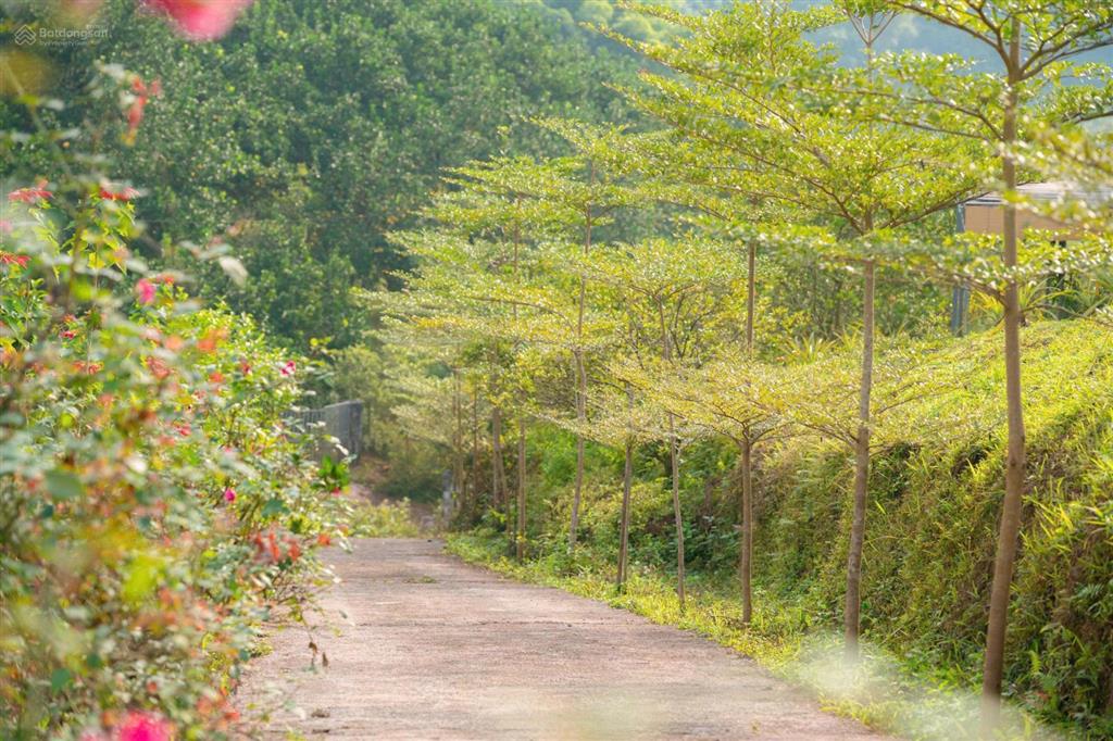 Chính chủ bán lô đất trong khu du lịch trong diện tích 9000m2, phù hợp làm nhà vườn
