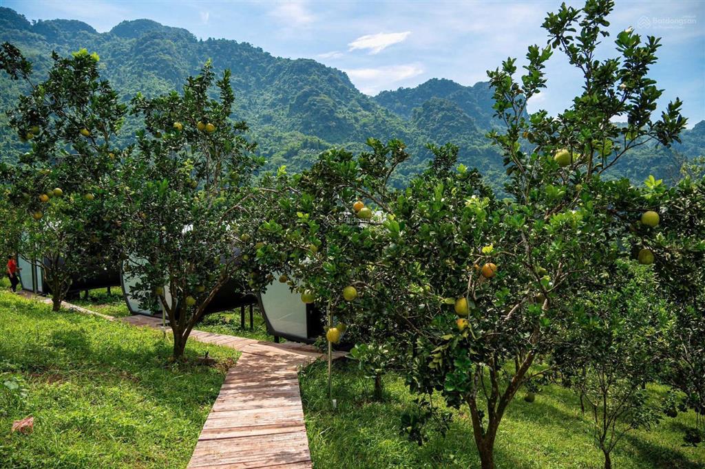 Chính chủ bán lô đất trong khu du lịch trong diện tích 9000m2, phù hợp làm nhà vườn