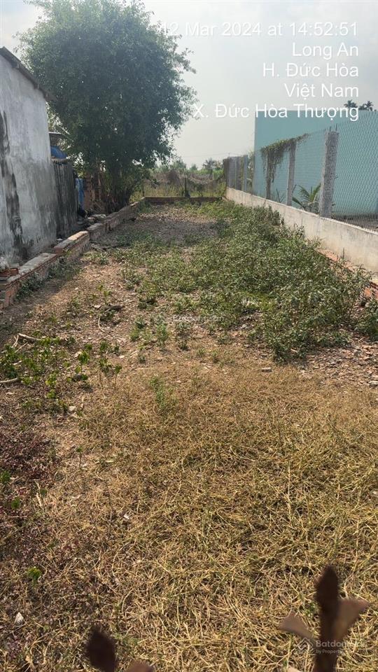 Bán đất 155m2, 1,1 tỷ giá ưu đãi tại xã đức hoà thượng, đức hòa, long an