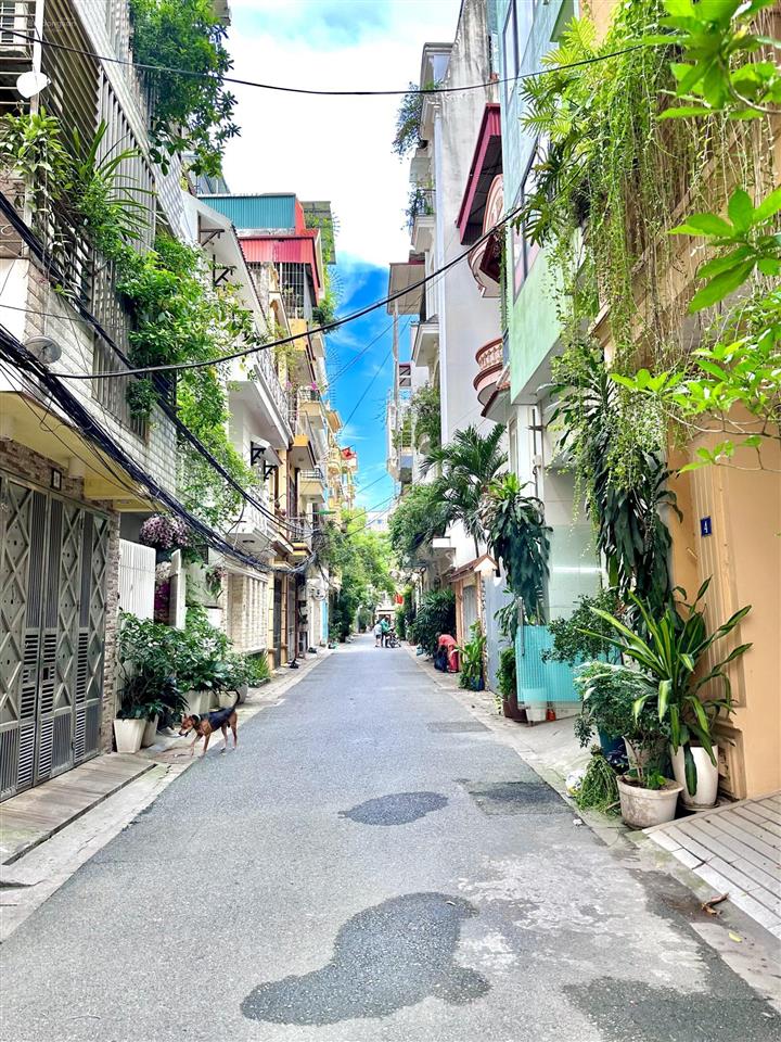 Bán nhà phân lô phố vọng ô tô vào nhà 44m² giá 15,3 tỷ
