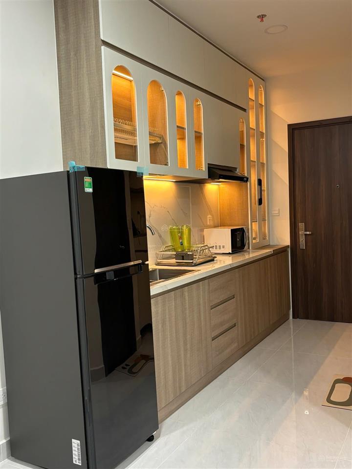 Cho thuê sunrise riverside 1pn đầy đủ nội thất, giá 9 triệu free phí quản lý